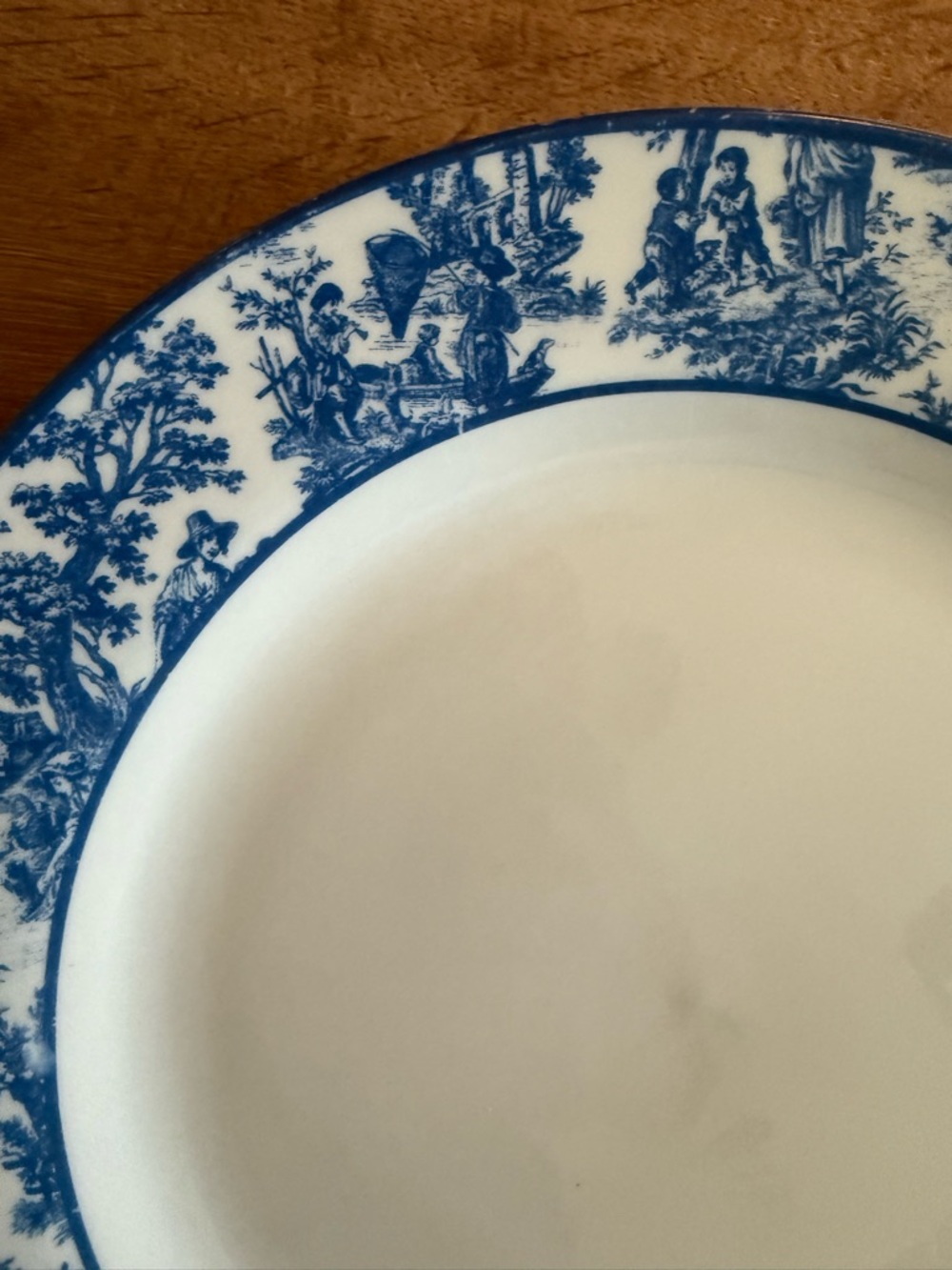 Waverly Country Life Blue Toile 10 Porcelain Dinner Plate - Picture 5 of 11